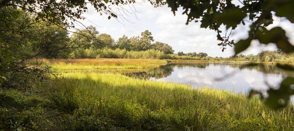 De kerngroep van het Stellingenpad zoekt een nieuwe padcoördinator