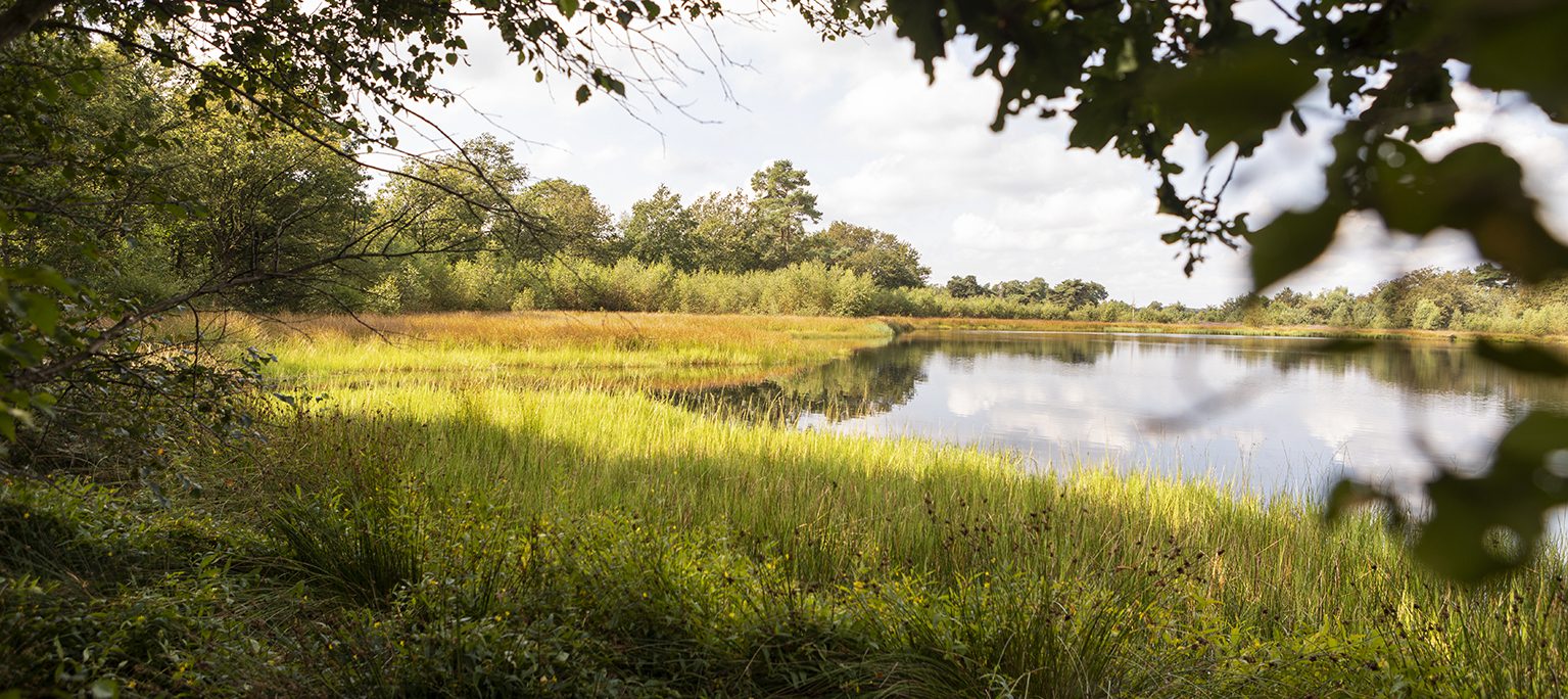 De kerngroep van het Stellingenpad zoekt een nieuwe padcoördinator